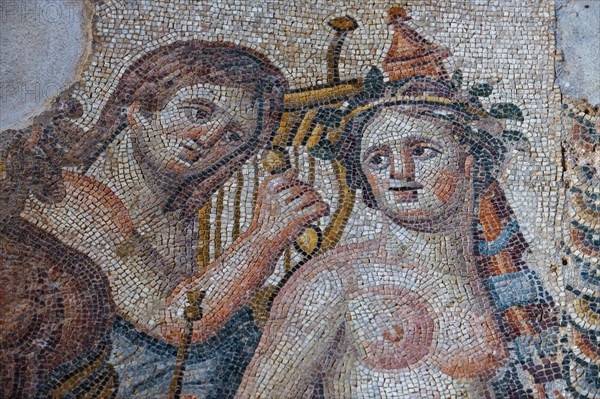 Mosaic