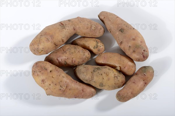 Potatoes