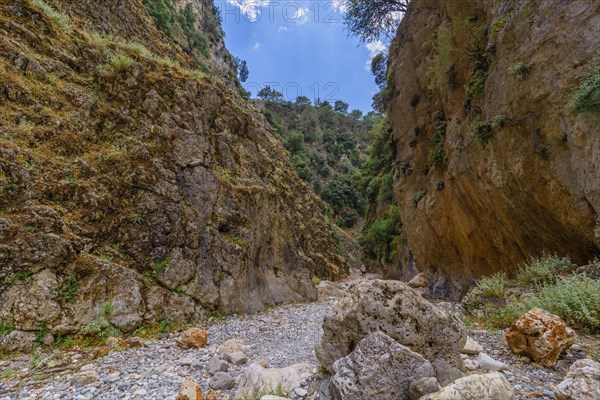 Aradena Gorge Gorge