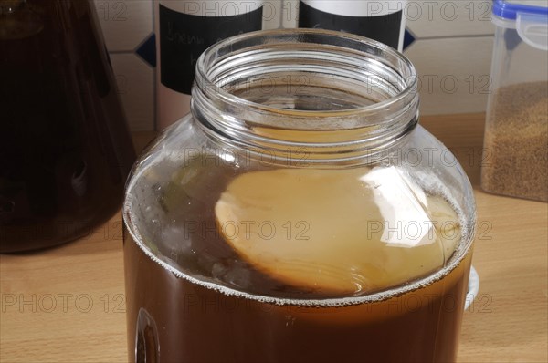 Kombucha