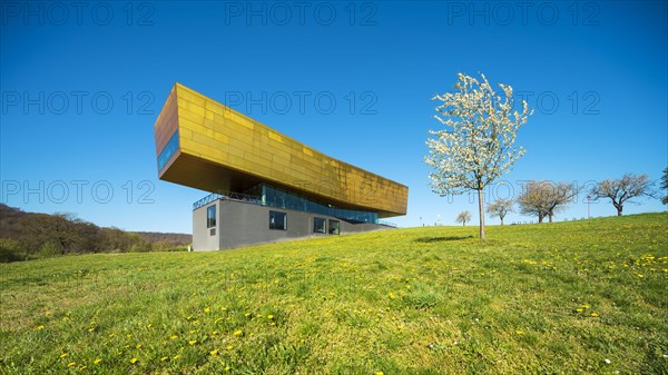 Nebra Ark in spring