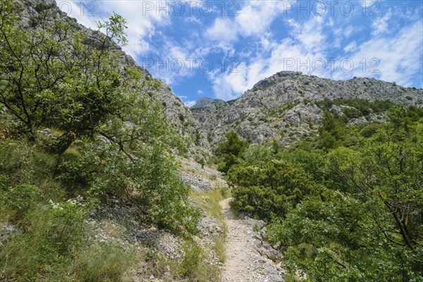 Biokovo National Park