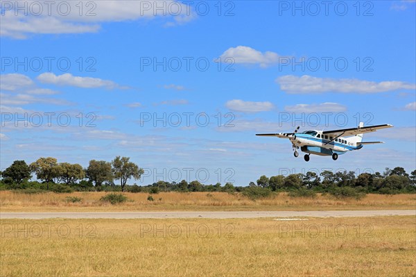 Bush plane