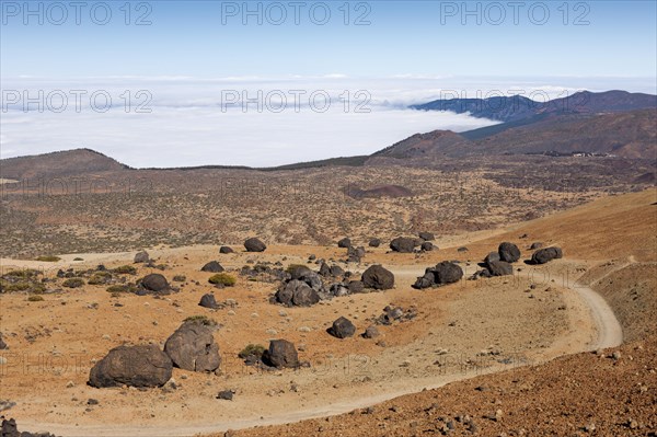 Teide eggs or lava balls in Teide National Park