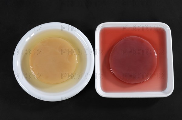 Kombucha