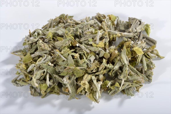 Greek mountain tea