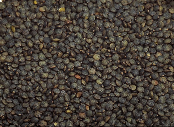 French green lentils called Puy lentils