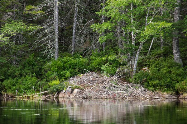 Beaver Castle