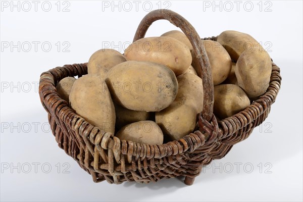 Potatoes