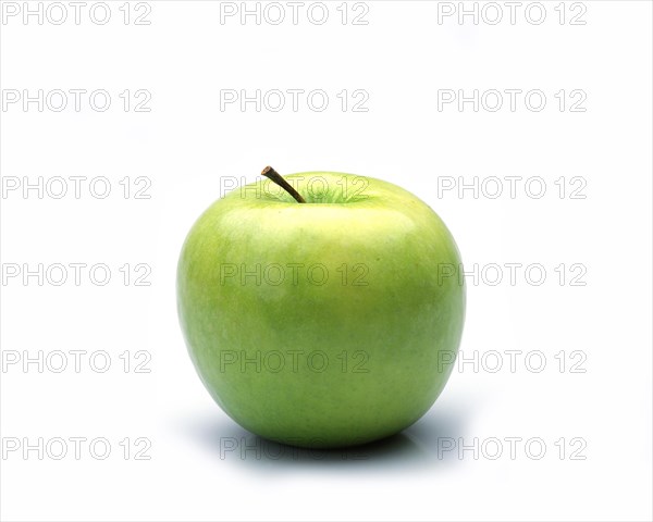 Malus domestica