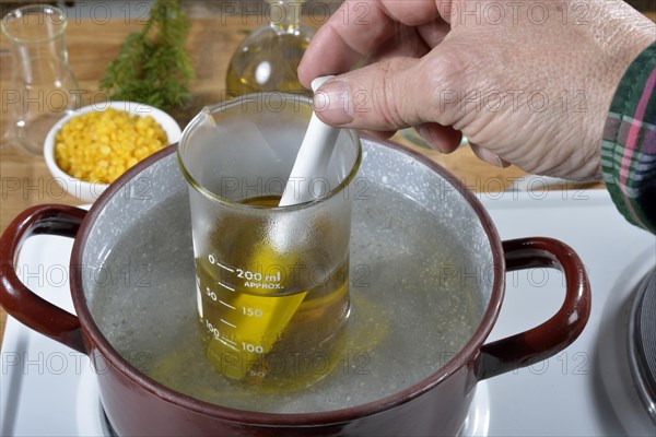 Production of spruce resin ointment