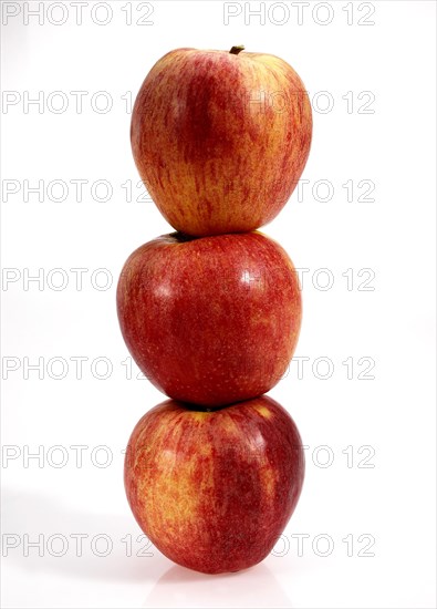 Malus domestica