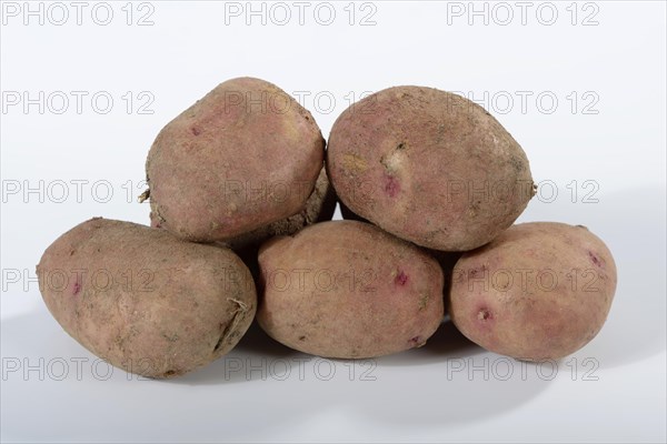 Potatoes