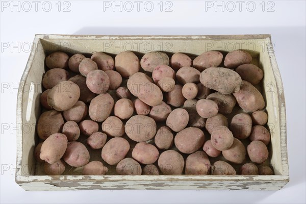 Potatoes