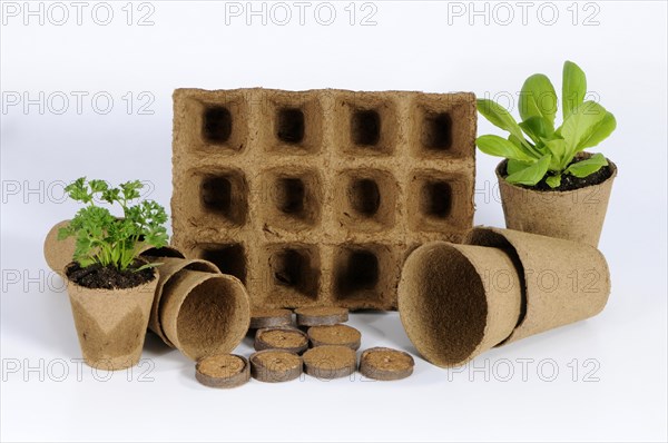 Peat pots