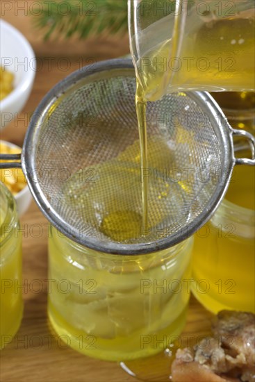 Production of spruce resin ointment