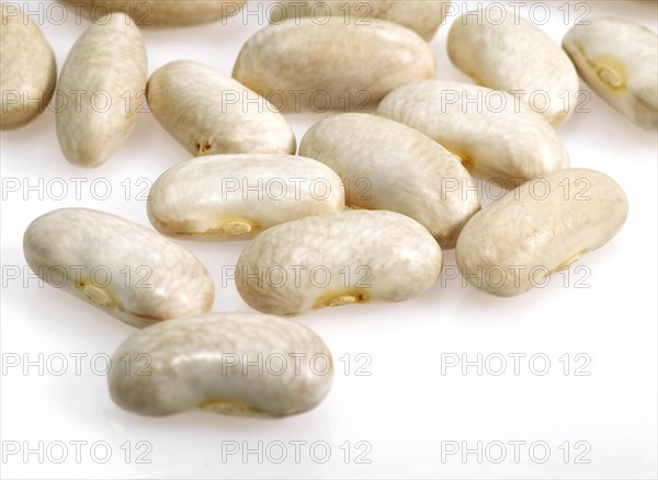 Garden Bean