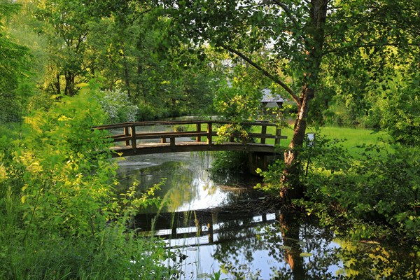 Pond