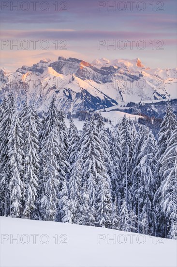 View from Gotschalkenberg with view to Glaernisch in the Schwyzer Alps