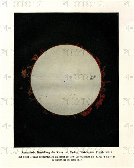 Schematic representation of the sun with spots
