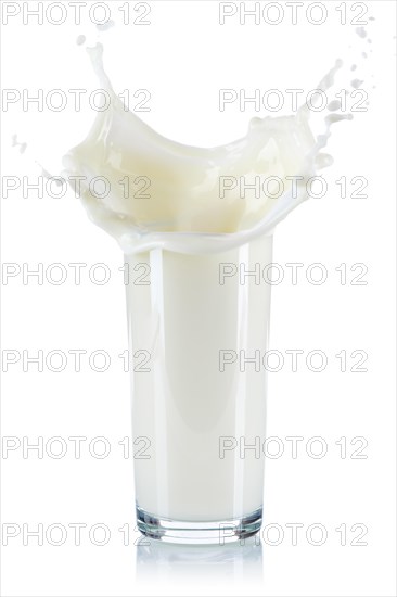 Milk splash splash milk splash glass milk glass cropped cropped isolated against a white background