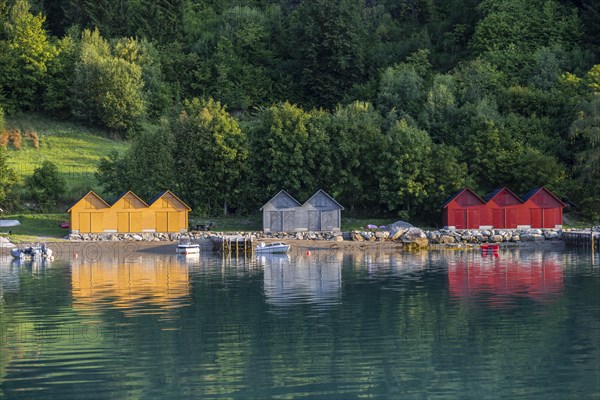 Colourful houses by the Lustrafjord