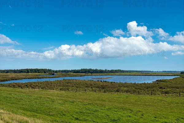 Landscape of the Katinger Watt