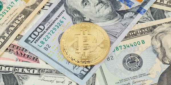 Bitcoin cryptocurrency online pay digital money cryptocurrency US dollar economy finance banner text free space copyspace
