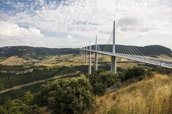 Motorway bridge over the Tarn