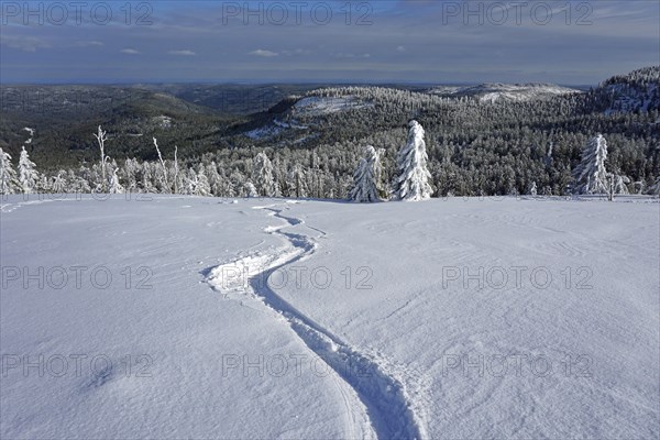 Ski track in deep snow in winter landscape