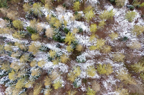 Drone image