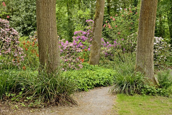 Rhododendron Park Bad Sassendorf