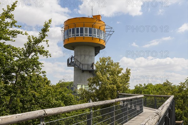 Tower at the treetop path in Hainich National Park