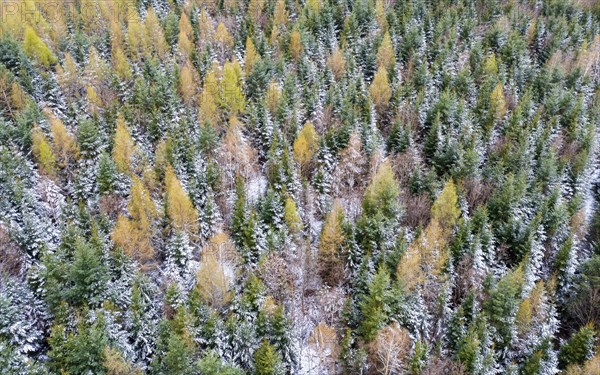Drone image
