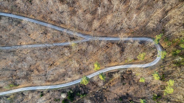 Drone image