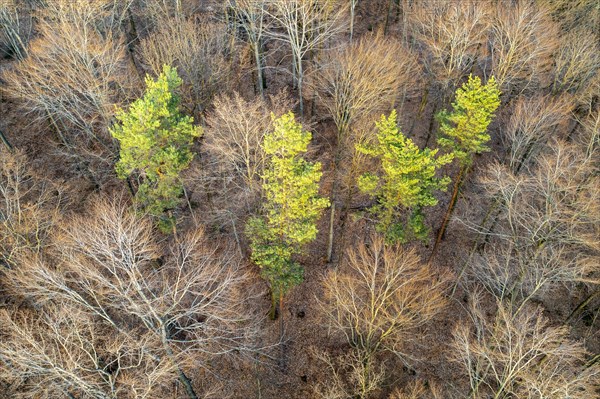 Drone image