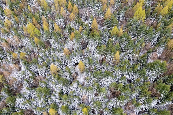 Drone image
