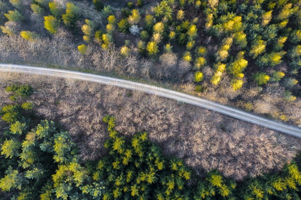 Drone image