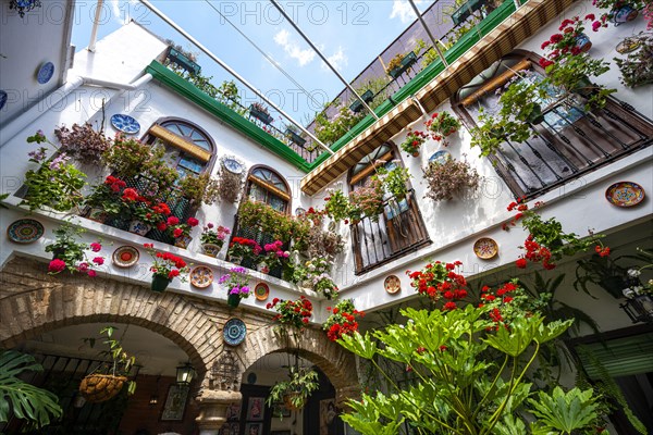 Patio decorated with flowers