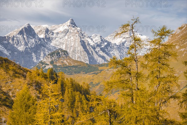 Mountain top