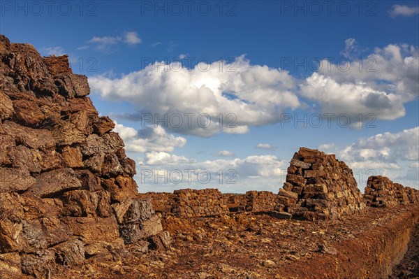 Peat cutting in the moor