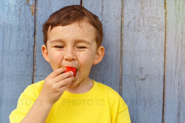 Child little boy eating strawberry summer strawberries