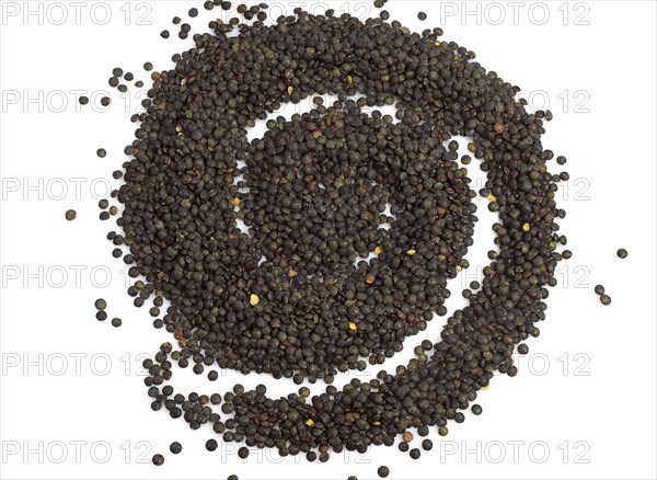 French green lentils called Puy lentils