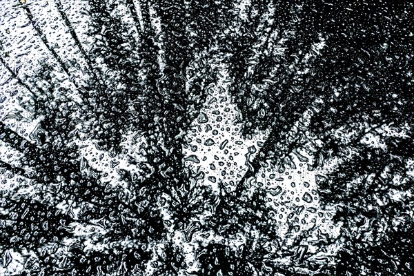 Car roof with raindrops and reflection of the forest