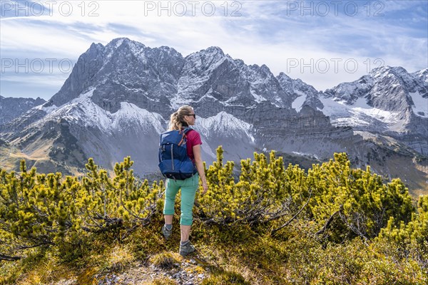 Hiker in the mountains