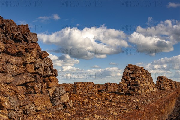 Peat cutting in the moor