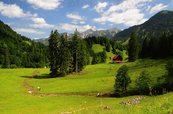 Hintersteiner valley