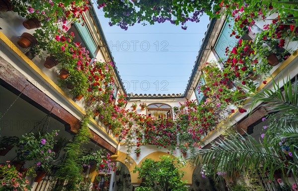 Patio decorated with flowers