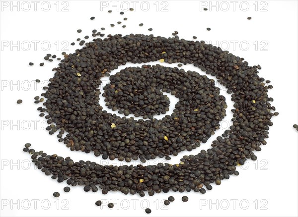 French lentils as green puy lentils