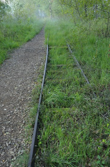 Old tracks of the moor railway